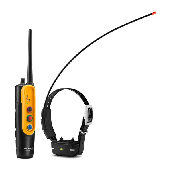 Dog Collars Keep Pets Safe