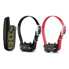 Top Garmin Dog Collar Accessories You Shouldn’t Miss